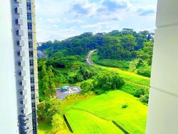 Blk 392 Goodview Gardens (Bukit Batok), HDB 4 Rooms #451660491
